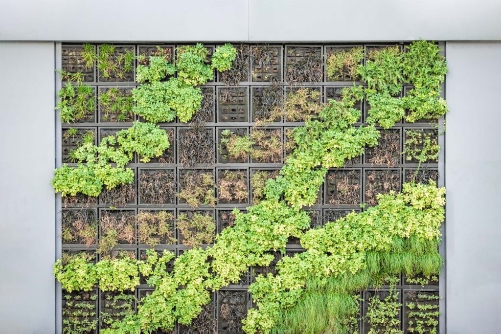 jardin vertical sustentable